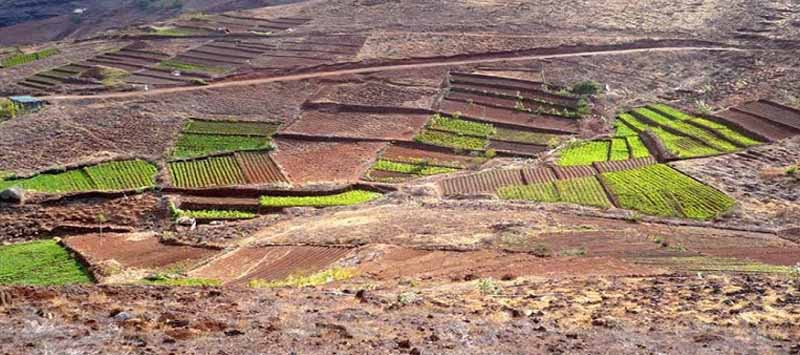 Vão ser disponibilizados mais 110 hectares de terrenos